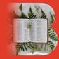 Initiation à la Bible - Deuxième année