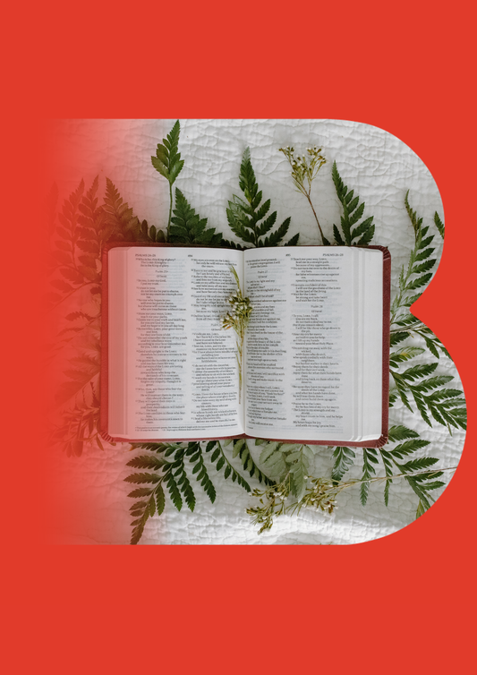 Initiation à la Bible - Deuxième année