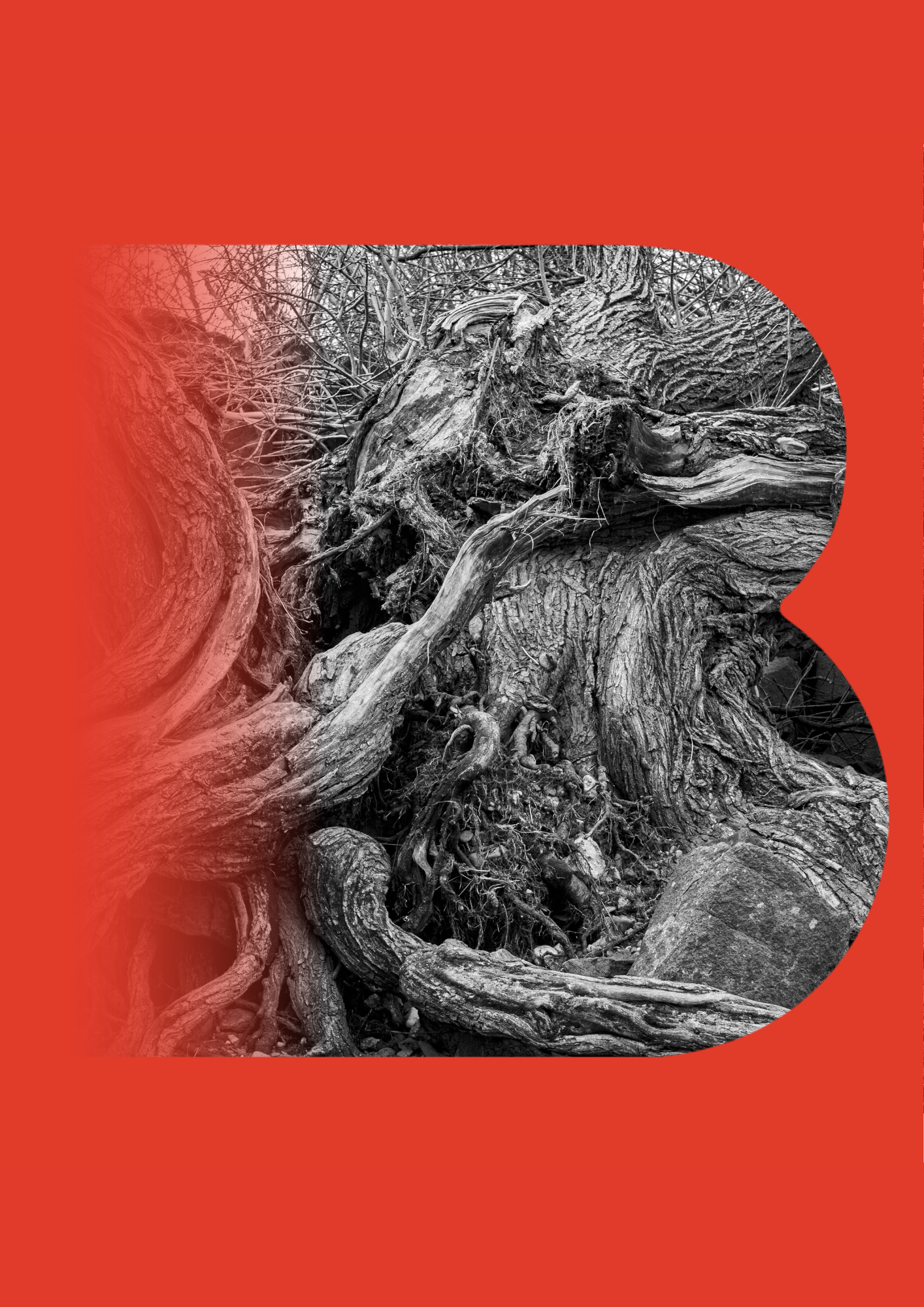 Penser l'enracinement